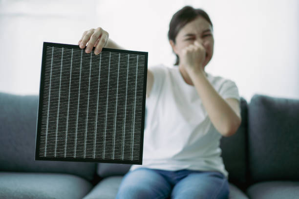 Best Commercial Air Duct Cleaning  in Cleveland, GA